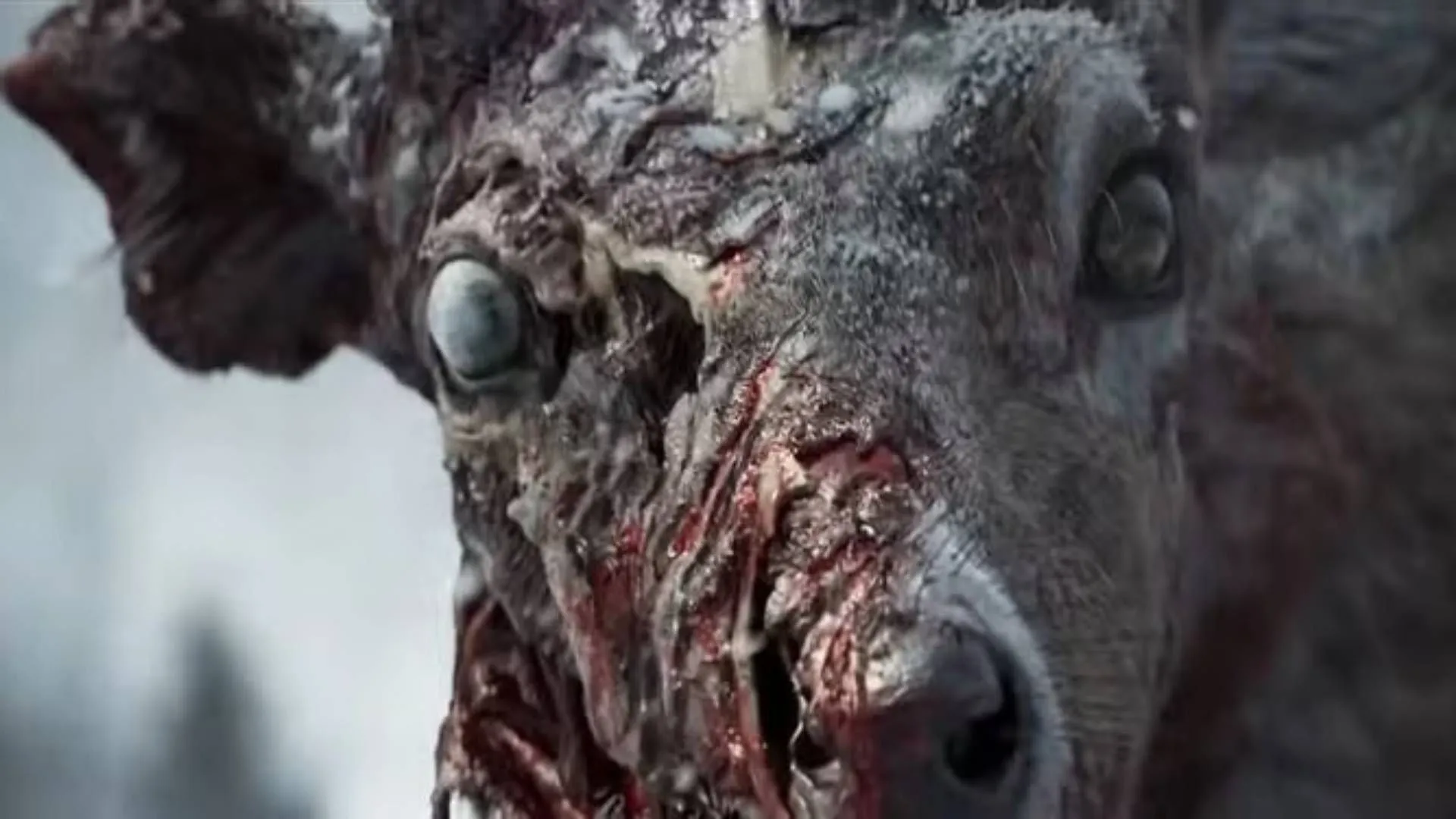 马略卡强势,连捷,西甲焦点战,球探比分,球探体育即时比分比分,球探,球探体育比分网