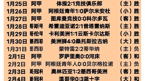 诺维利诺：帕拉蒂奇被誉为“小马洛塔”，是米兰总监梦寐以求的搭档。