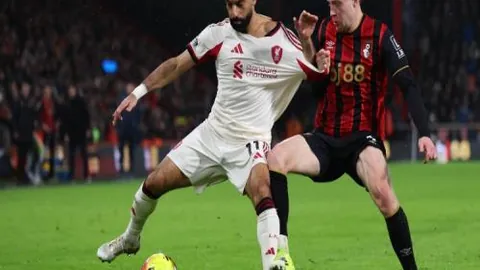 荷甲免费策略分享，赞赏解锁专家实时观点