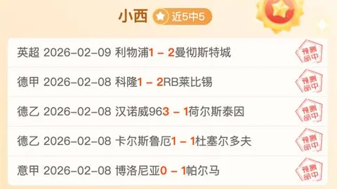 巴西里约州林火频发，同比激增370%仍未停歇